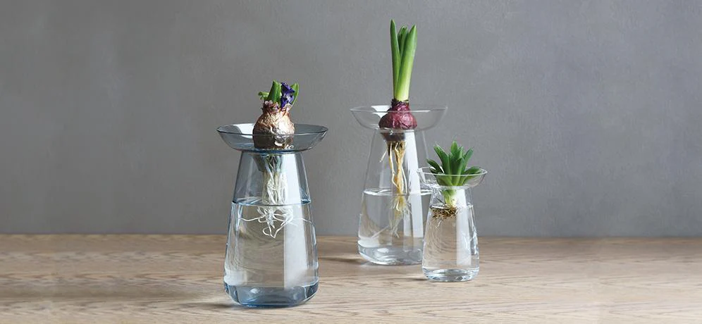 AQUA CULTURE VASE 120mm / 5in - Image 6