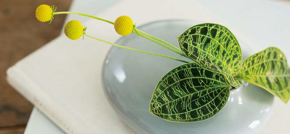 SACCO vase porcelain 02 - Image 7